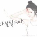 도니가 이미지