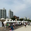 쉬엄쉬엄 한강 3종 축제 후기 준비물 꿀팁 초급자 코스 참가후기