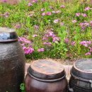 고을마당 이미지