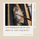 성지고추장굴비 | 12가지 무한리필 반찬과 겉바속촉 고등어, 달빛에 구운 고등어 구성점 솔직후기