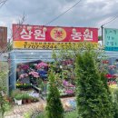 상원농원 이미지