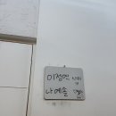 윙크진주점 | 르노브&amp;해밀 촬영후기..~ 광주 랑게&amp;해밀