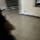 분식9단냉면10단