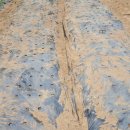 호성농장 이미지