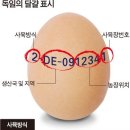 푸른농장 이미지