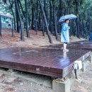 용두해수욕장숲속야영장 이미지