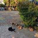 설악솔민박 이미지