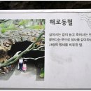 카페스프링스