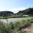 대부마을경로당 이미지