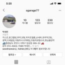 에스개러지 이미지