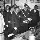 박정희로-15 이미지