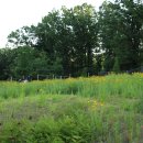 홍천말근린공원 이미지