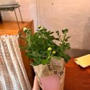 벨라하우스 | [용인 벨라마리에]하우스웨딩 후기 💐 | 위치 • 식장내부 • 식사