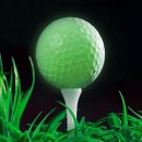 원더풀스크린골프 이미지