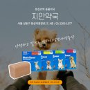 비트플렉스약국 이미지