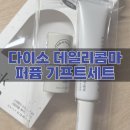 다이소 고체향수 추천 데일리콤마 퍼퓸 기프트세트 내돈내산 사용후기