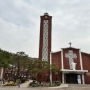 대신정기화물자동차(주) - 군포시 | 대신정기화물자동차(주)