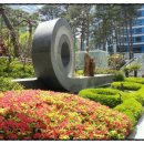 십자가축병원 이미지