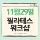 꿈쿠라요가아카데미 - 김포시 유현로238번길 26 | [김포 필라테스 워크샵] 29일 토요일, 동작 분석과 핸즈온 - 매트 필라테스