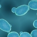 오창프라자약국 이미지