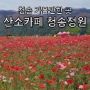 청송정원 | 청송 꽃과 사진찍기 좋은 곳 산소카페 청송정원 성공적인 가족나들이 데이트