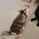 소로4-사정10호선 | 처음 방문도, 두번째 방문도 언제나 반갑게 맞이하겠습니다!