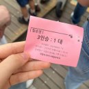 문구야놀자영종하늘 | 영종도 가볼만한곳 영종씨사이드레일바이크 애견동반 후기(가격, 탑승시간, 소요시간)