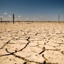 천안호두(부산) 이미지