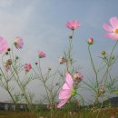 화랑유원지 이미지