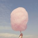 솜사탕탕 - 광진구 | 솜사탕탕