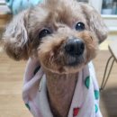 땡구야놀자 이미지