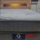 반해샤 스테이 이미지
