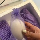 낭만농장 | 낭만기러기 거위알 유정란으로 홈베이킹 해본 후기, 보양식으로도 만족