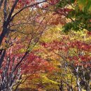 창원광장 앞 중앙대로 이미지