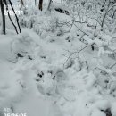 남산약수터 이미지