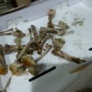 교촌치킨(복산점) 이미지