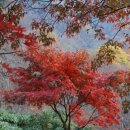 머리산책