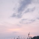 이쁘다 애터미
