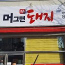 머그면 돼지 이미지