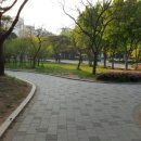 솔안공원 앞