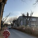 신평로 | 슬로우벗베럴, 대구 애견동반가능 대형카페 내돈내산 후기