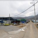 조정현농장 이미지