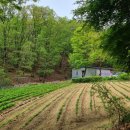 치유센터 화장실 이미지