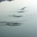 물수제비 이미지