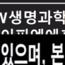 (주)파인그룹홀딩스 이미지