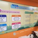 삼송초등학교 이미지
