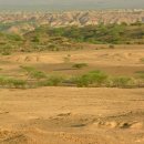 문화지구대 | 에티오피아 아파르 지구대Afar Rift가 아로새긴 10만 년 전 호모 사피엔스의 삶과 죽음