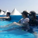 장흥 자연휴양림 이미지