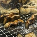 원주진장어 이미지