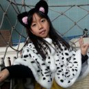 삼아교통(유) 이미지